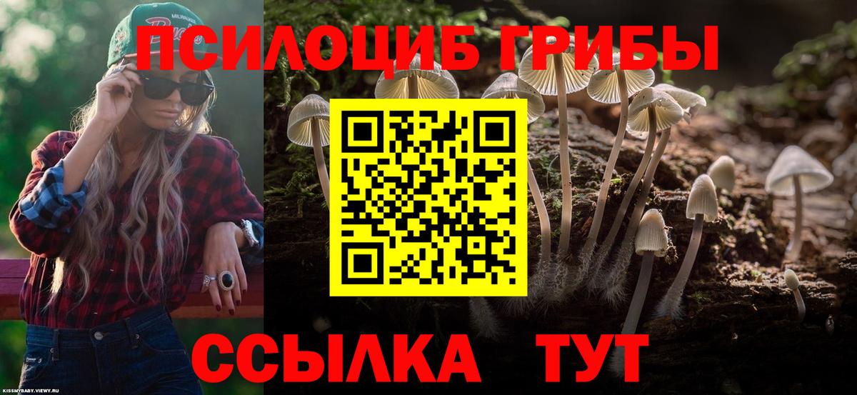 Валуйки  Псилоцибиновые грибы GOLDEN TEACHER  Галлюциногенные грибы Magic Shrooms  Вход с VPN 